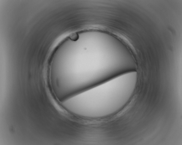 X0000115491038200911060957