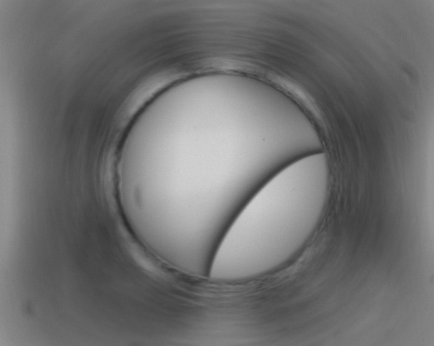 X0000115491039200911060957