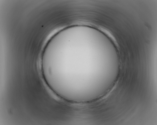 X0000115491040200911060957