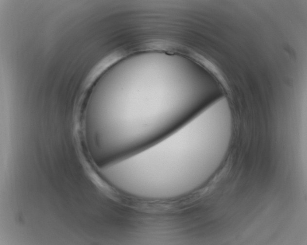X0000115491042200911060957