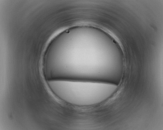 X0000115491045200911060957