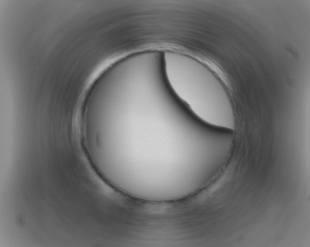 X0000115491046200911060957