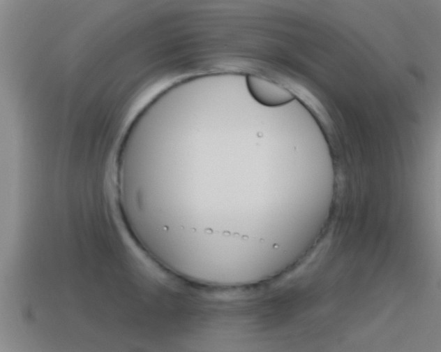 X0000115491047200911060957