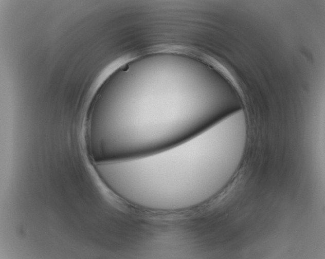 X0000115491050200911060957