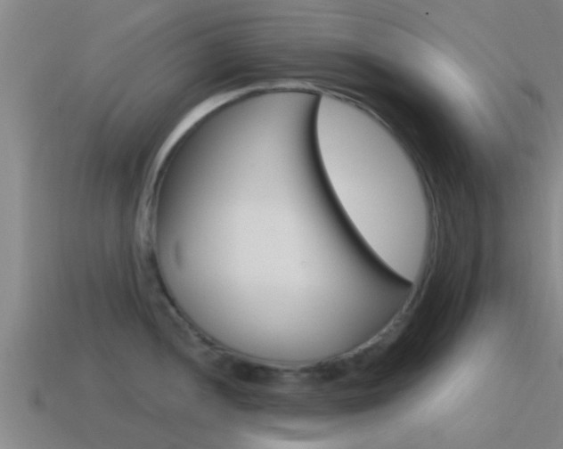 X0000115491052200911060957