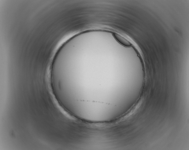 X0000115491053200911060958