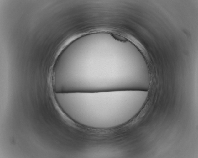 X0000115491055200911060958