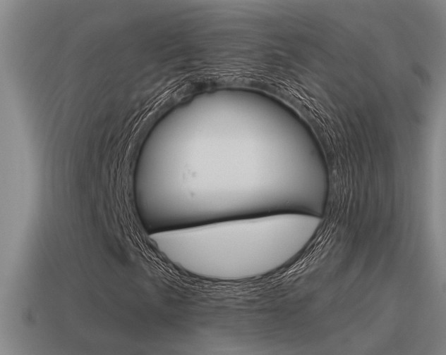 X0000115491057200911060957
