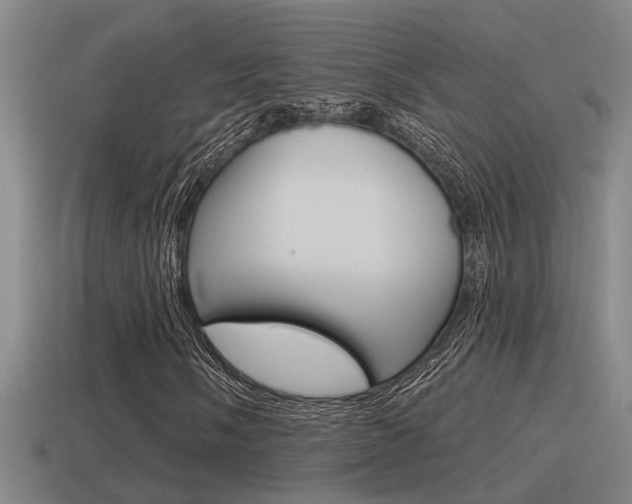X0000115491058200911060957