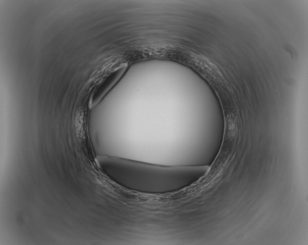 X0000115491060200911060957