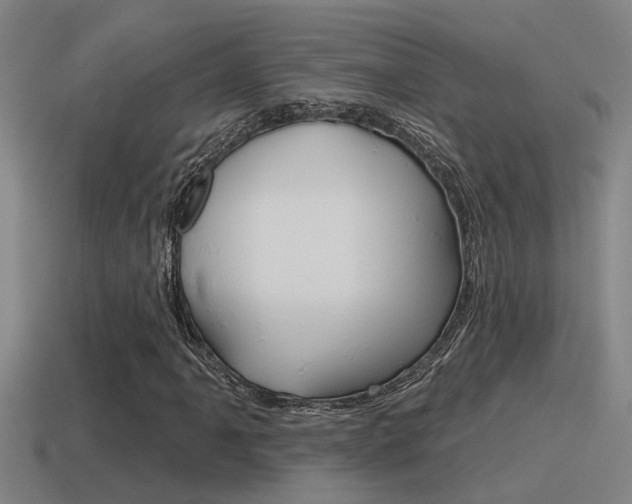 X0000115491061200911060957