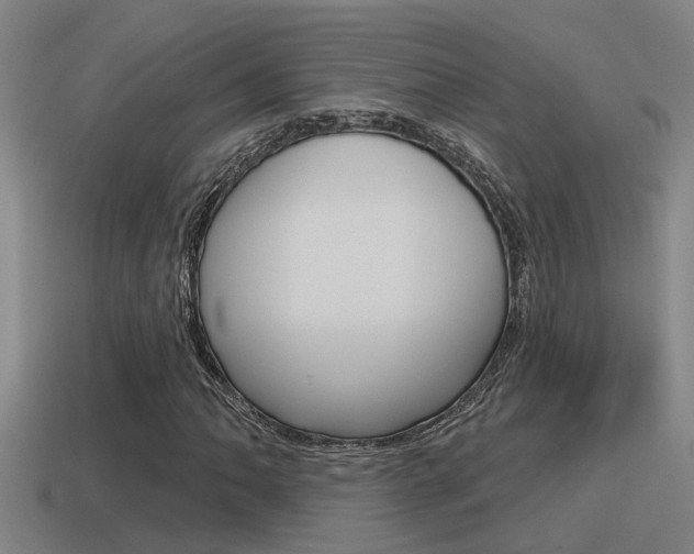 X0000115491062200911060957