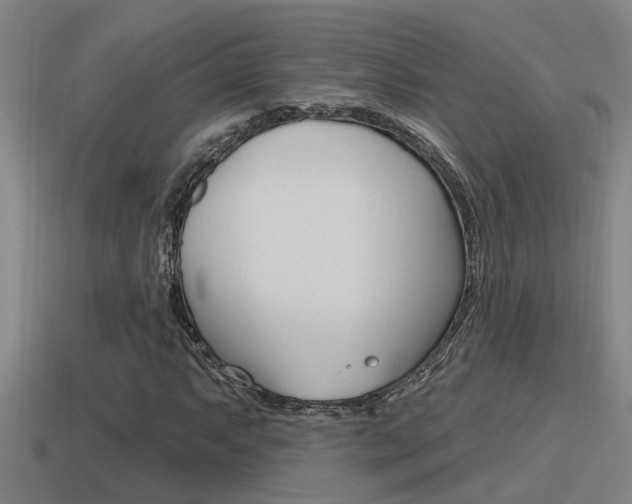 X0000115491063200911060957