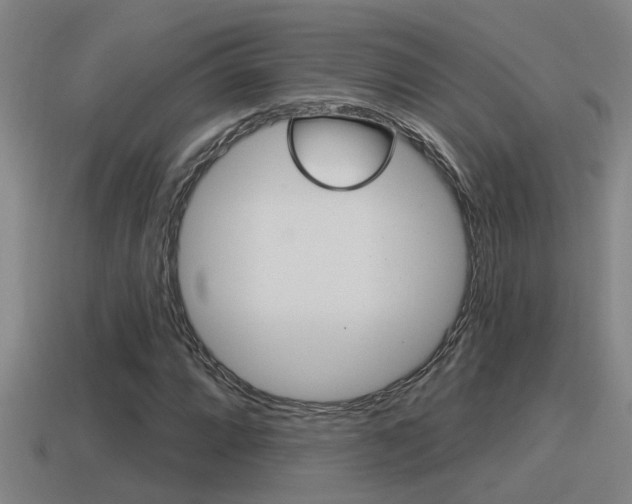 X0000115491064200911060957