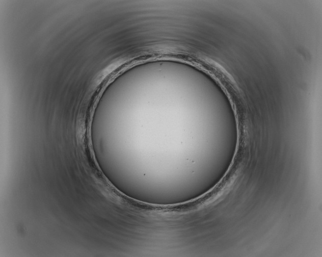 X0000115491065200911060957