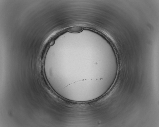 X0000115491067200911060957