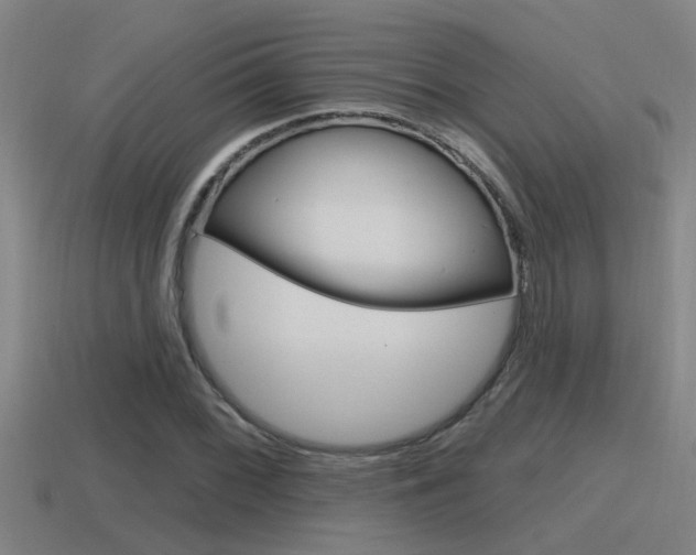 X0000115491068200911060957