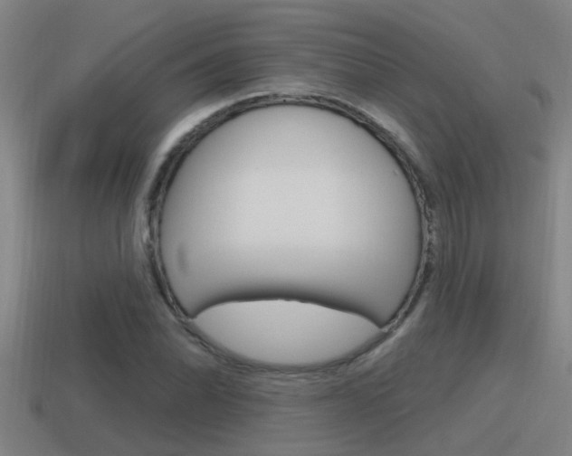 X0000115491070200911060957