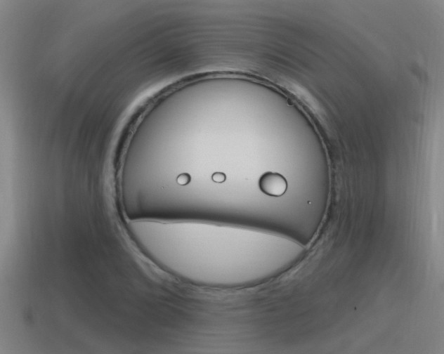 X0000115491072200911060957