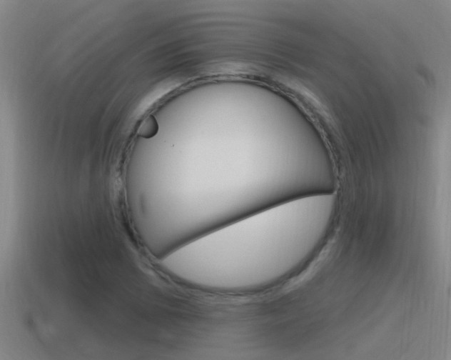 X0000115491073200911060957