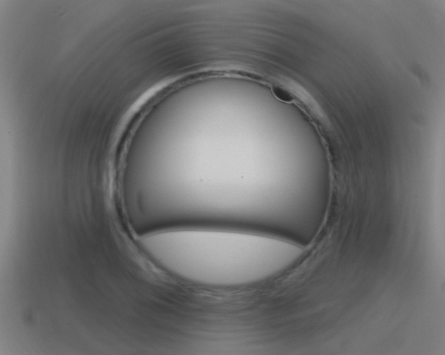 X0000115491076200911060957