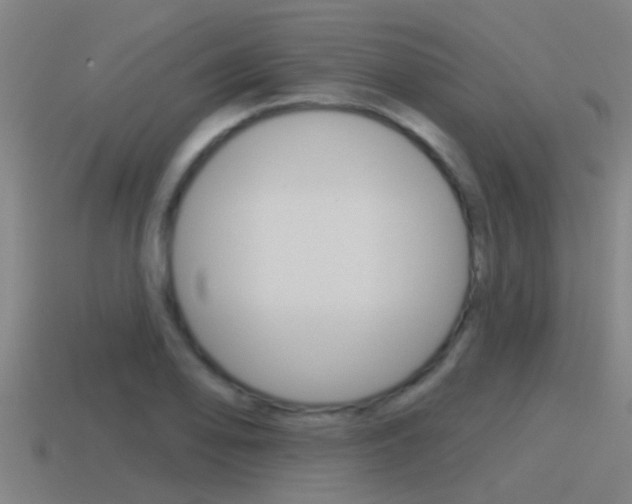 X0000115491078200911060956