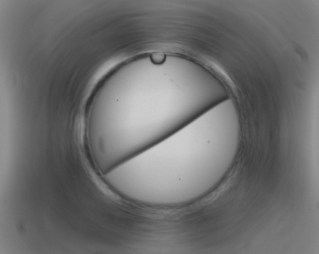X0000115491079200911060956
