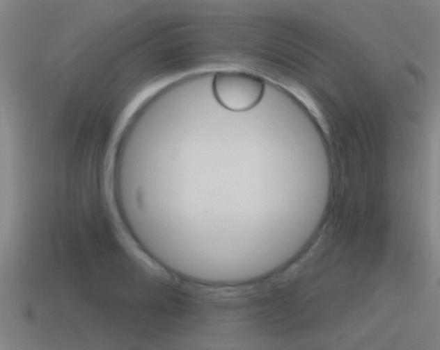 X0000115491080200911060956
