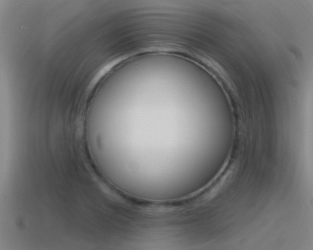 X0000115491081200911060956