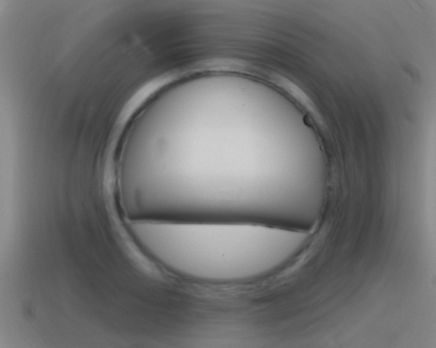 X0000115491082200911060956
