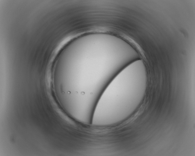 X0000115491083200911060956