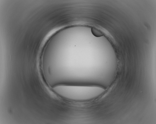 X0000115491086200911060956