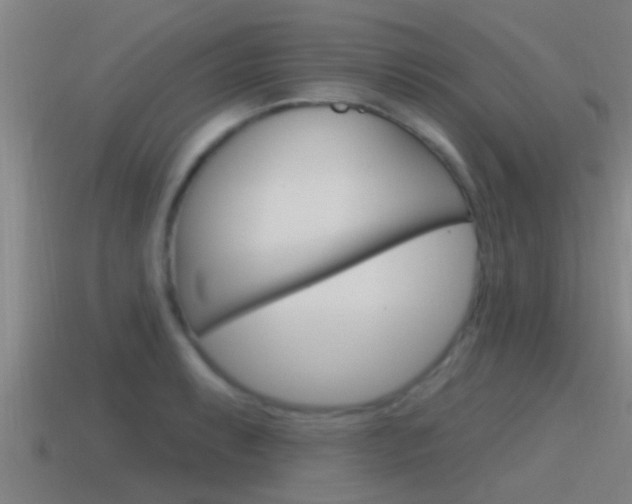 X0000115491087200911060956