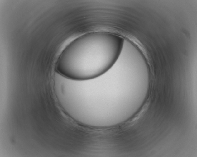 X0000115491089200911060956