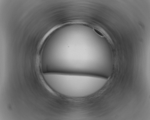 X0000115491092200911060956