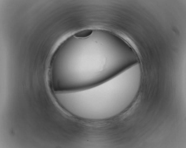 X0000115491093200911060956