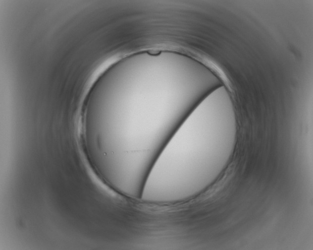 X0000115491095200911060956