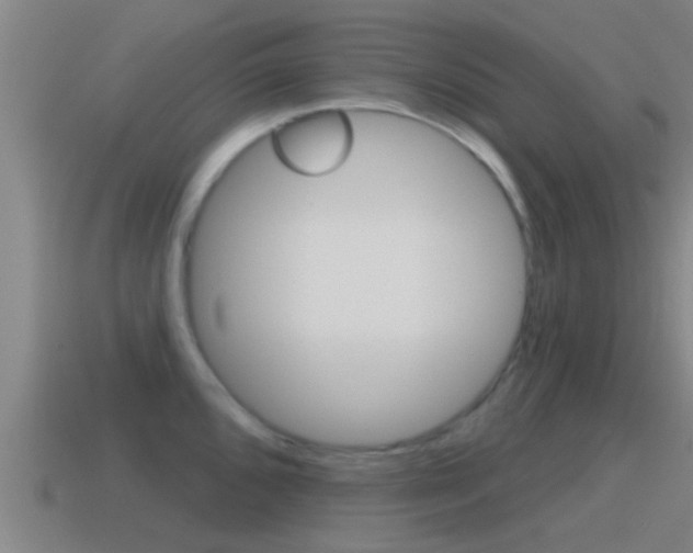 X0000115491096200911060956