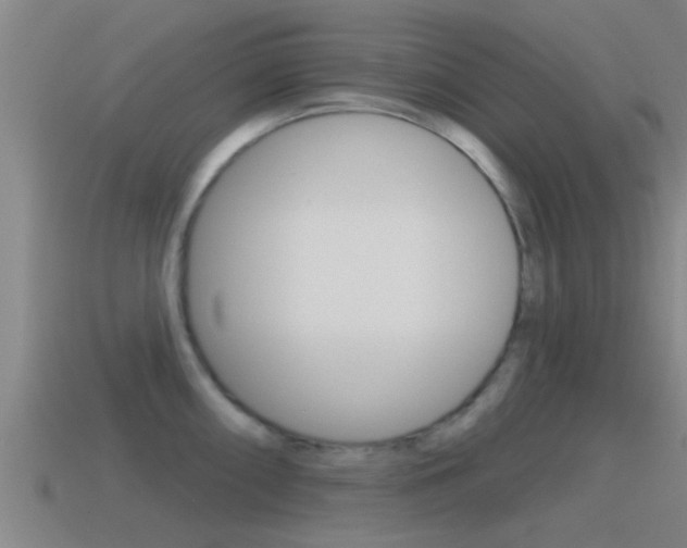 X0000115491098200911060956
