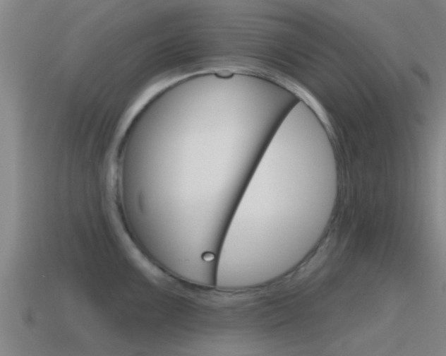X0000115491099200911060956