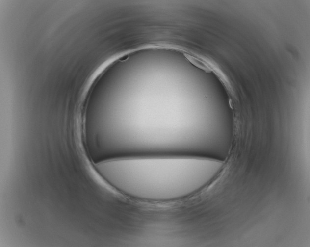 X0000115491100200911060956