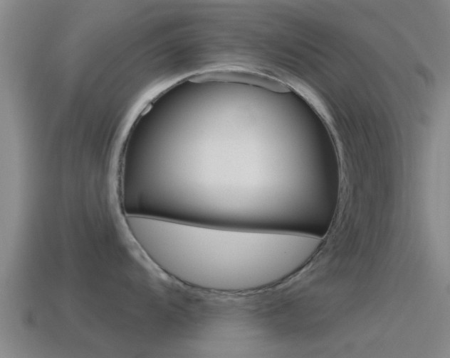 X0000115491104200911060956