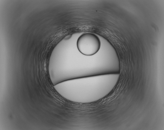 X0000115491106200911060956