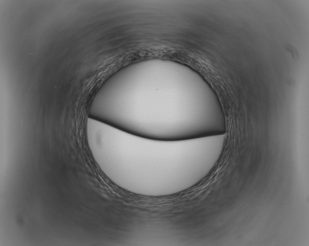 X0000115491109200911060956