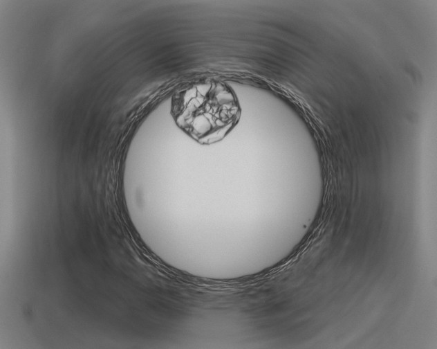 X0000115491110200911060956