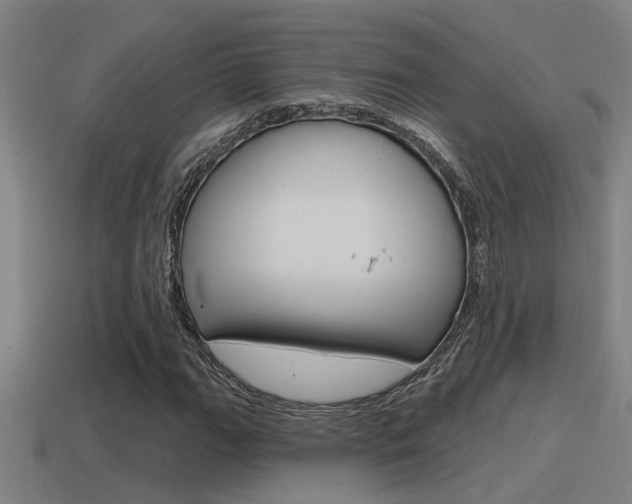 X0000115491111200911060956