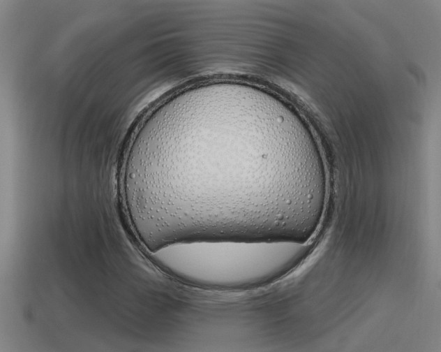 X0000115491113200911060956