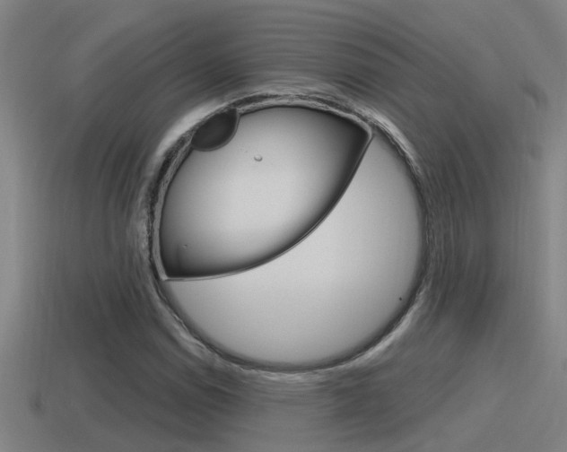 X0000115491114200911060956