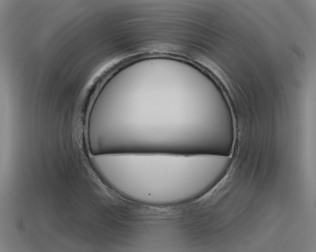X0000115491115200911060956