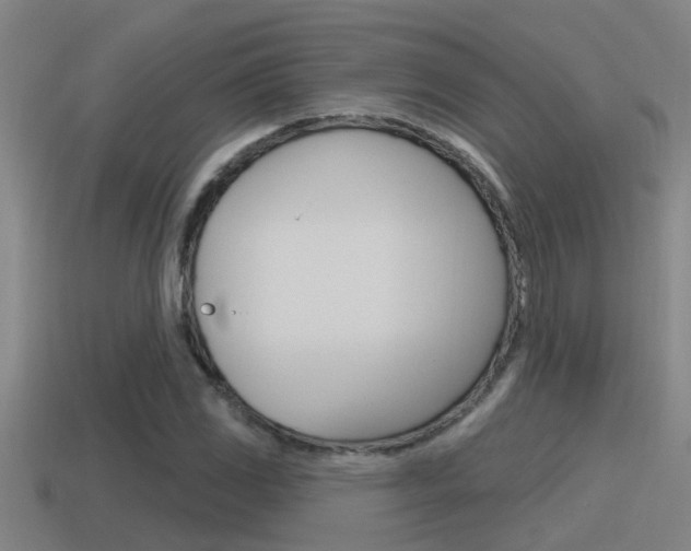 X0000115491117200911060956